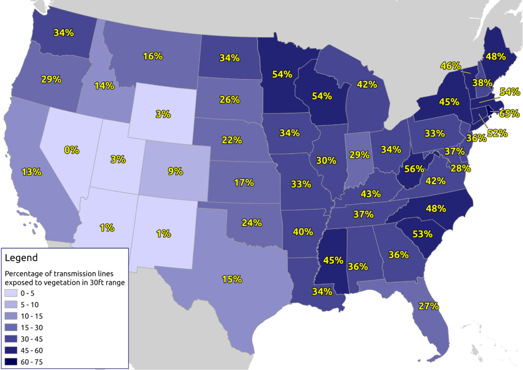 LiveEO - United States transmission network