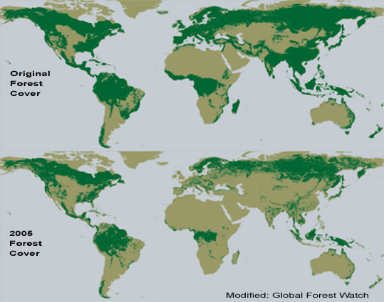 forestcover