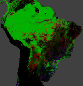 Forest losses in tropical South America between 2000 and 2012. Particularly at the Southern edge of the Amazonian Basin, in Bolivia, Paraguay the loss of forest is obvious. 