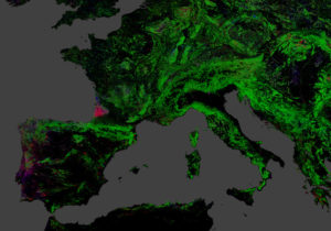 Forest change in Europe: A wind storm in 2009 leveled a forested area in South-west of France. Portugal exhibits a strong dynamic of forest loss and gain.