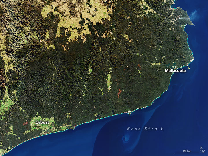 Australia bushfire satellite imagery