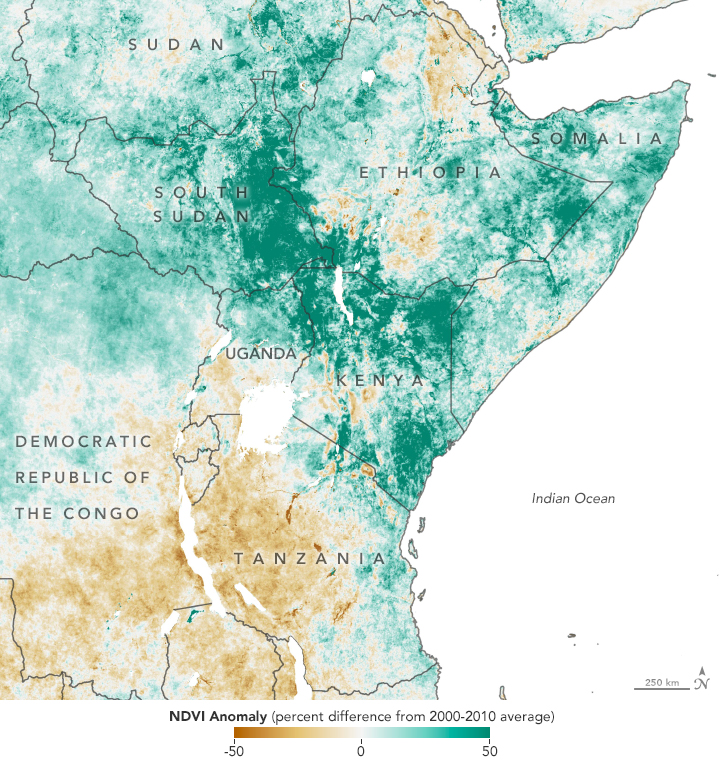 East Africa's locust plague - NDVI anomaly