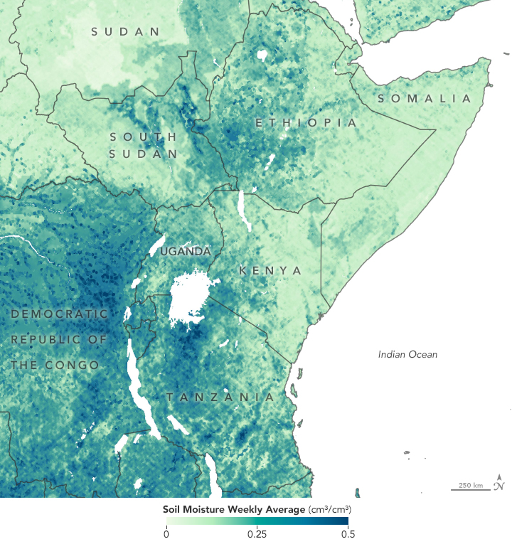 East Africa's locust plague - soil moisture