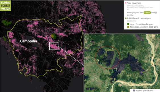 Deforestation causing climate change