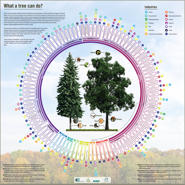 Forest inventory - impact of a tree