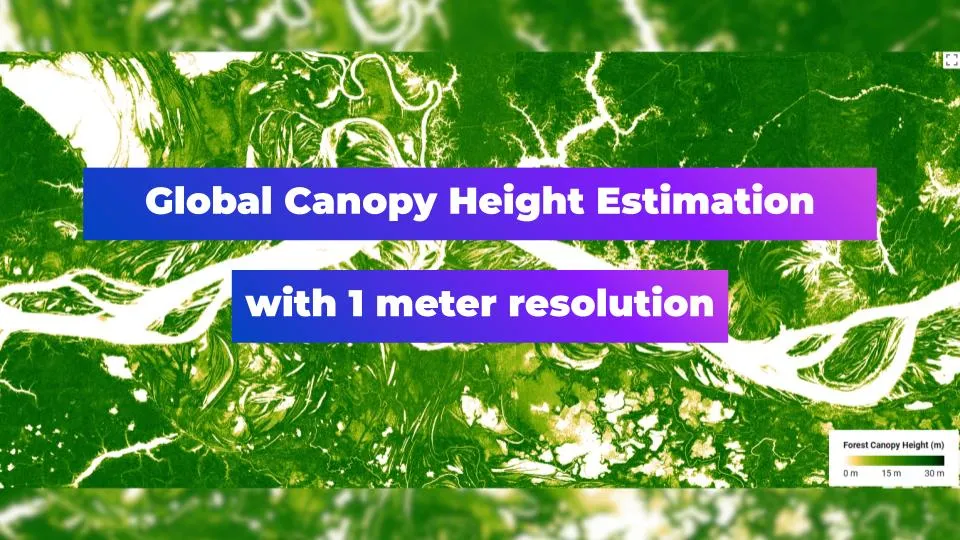 Global Canopy Height Estimation