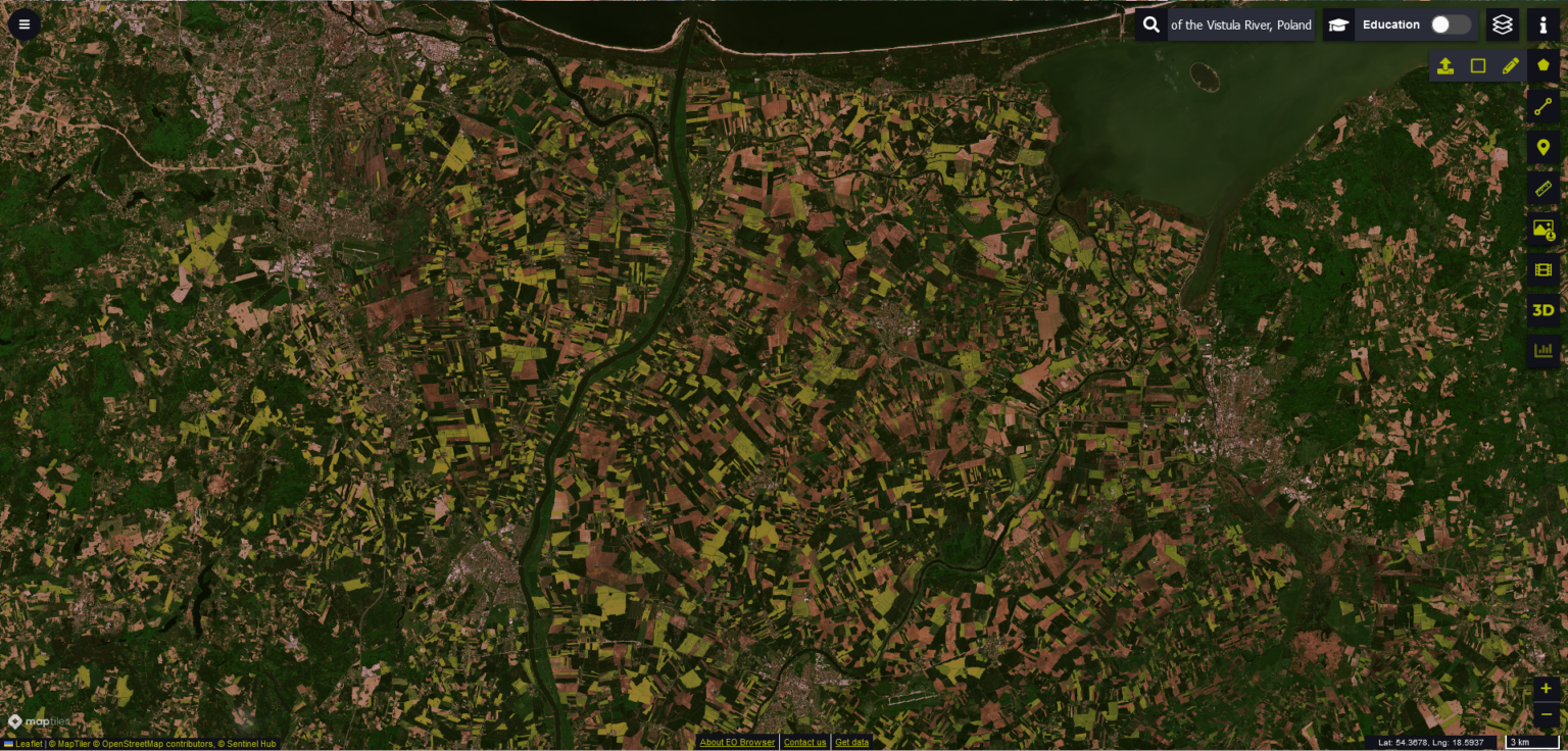 Exploring the World of Google Earth Engine Through Time-Series ...