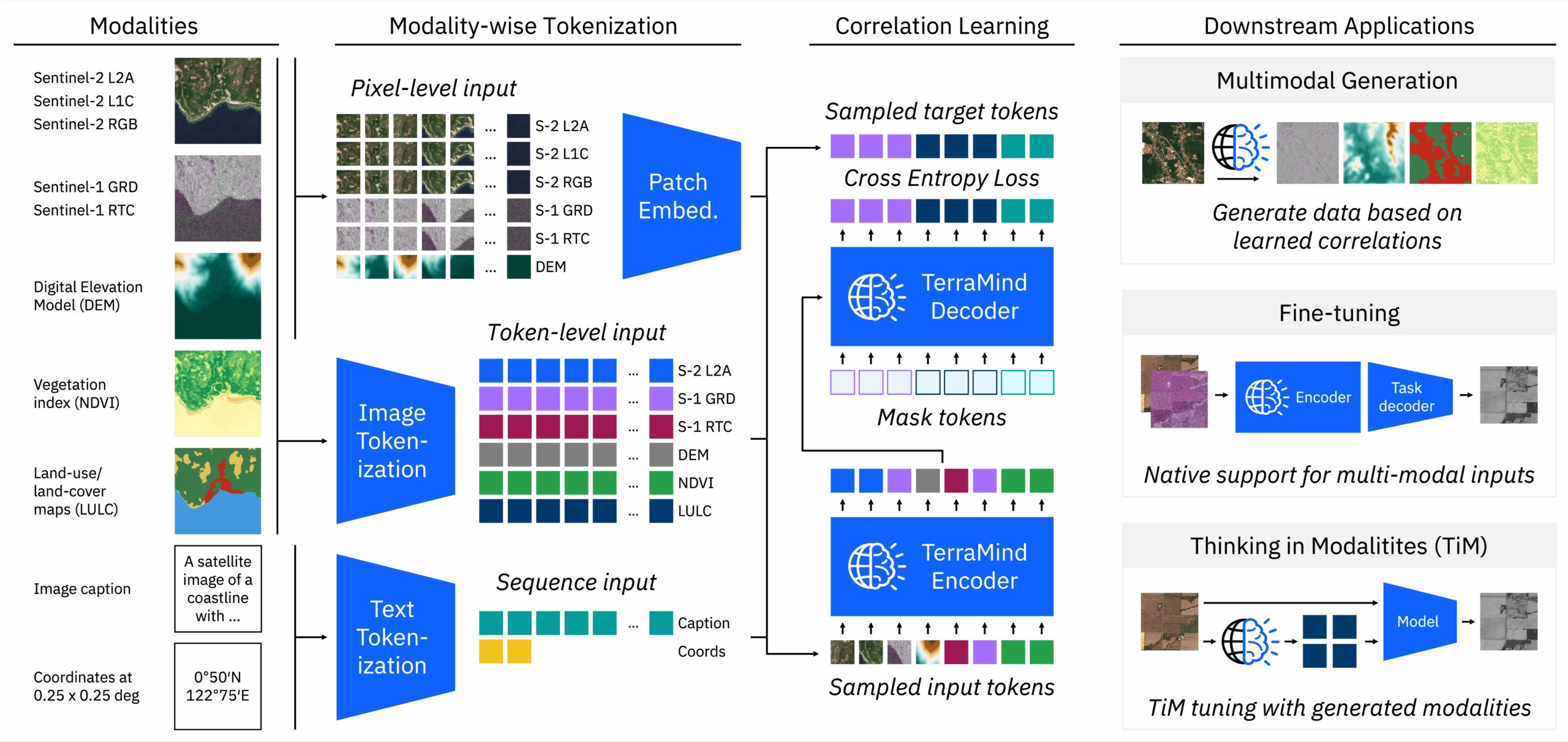TerraMind: model workflow