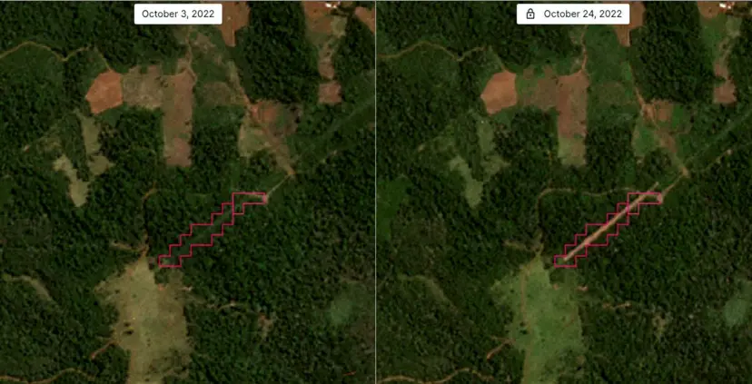 Automated identification of new road construction in Argentina by Planet