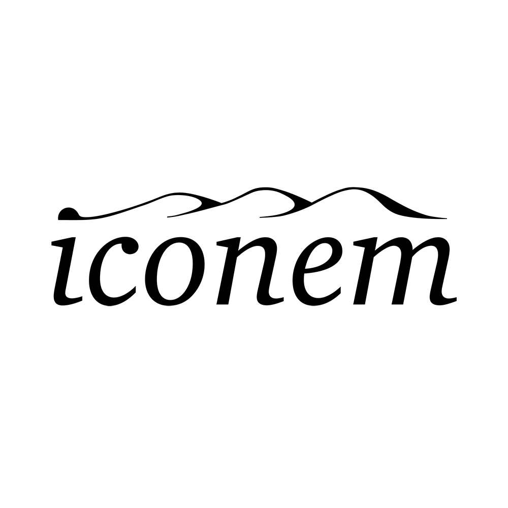 Iconem logo