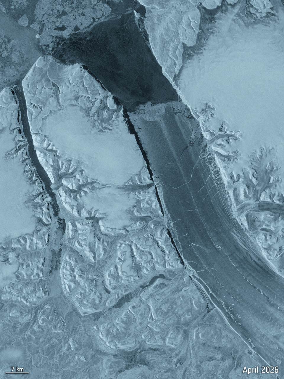 Sentinel-1 animation of the Petermann ice tongue between April and August 2026